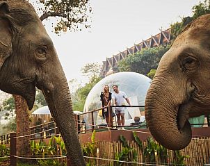 Unterkunft 0630603 • Appartement Nord-Thailand • Anantara Golden Triangle Elephant Camp & Resort - SHA Certif 