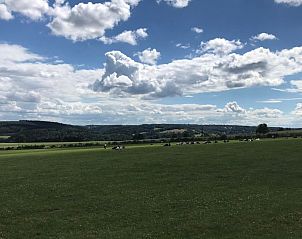 Verblijf 065104 - Vakantiewoning Ardennen (Luik) - Le Petit Nid de Forêt