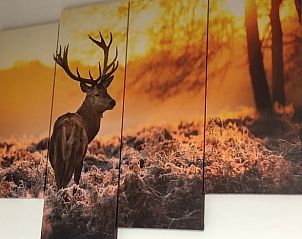 Guest house 070502 - Holiday property Hainaut - Vakantiehuisje in Sivry