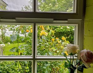 Guest house 070702 - Holiday property Heegermeer - Huisje in Sandfirden