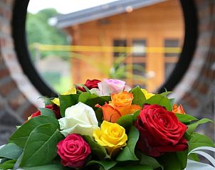 Colorful bouquet of flowers in Holiday home in Sautin overlooking the garden, Hainaut, Belgium.