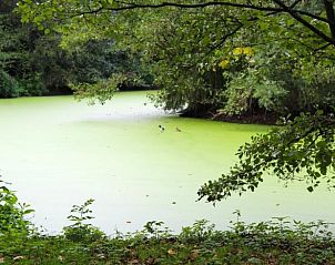 Guest house 0744701 - Holiday property Hainaut - Huisje in Anvaing