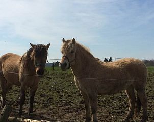 Guest house 0748701 - Holiday property Hainaut - Huisje in Froidchapelles