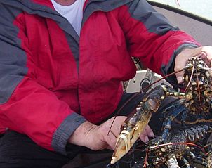 Verblijf 0790101 - Vakantiewoning Zuid-West-Ierland - Lya's vakantiehuis