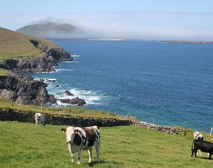 Verblijf 0791302 - Vakantiewoning Zuid-West-Ierland - Vakantiehuis An Searrach Holiday Home Dingle