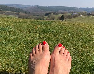 Verblijf 082504 - Vakantiewoning Ardennen (Namen) - Vakantiehuisje in Gros Fays