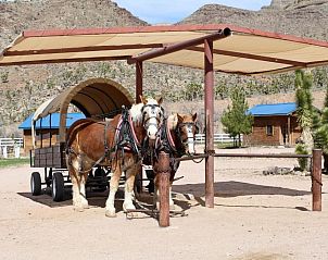Verblijf 0825901 • Vakantiewoning Zuidwesten • Grand Canyon Western Ranch 