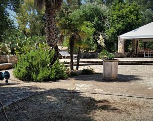 Guest house 0850508 - Holiday property Apulia / Puglia - Vakantiehuis in Ostuni