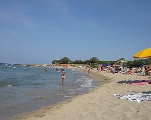 Guest house 0850508 - Holiday property Apulia / Puglia - Vakantiehuis in Ostuni