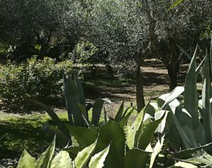 Guest house 08511603 - Holiday property Apulia / Puglia - Vakantiehuis in Lizzanello LE, Italia