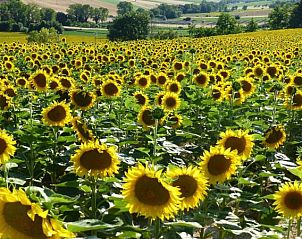 Verblijf 0862201 - Vakantiewoning Toscane / Elba - Villa Daniela