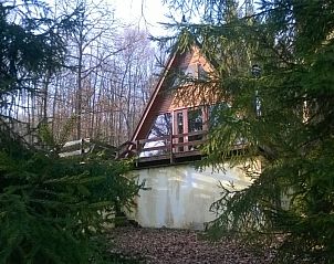 Chalet Dion, Beauraing, Ardennen, verscholen in een weelderig bos, ideaal voor natuurliefhebbers.