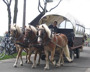 Guest house 090202 - Bed and Breakfast East Flanders - B&B Sogni d'oro