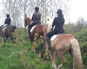 Guest house 090202 - Bed and Breakfast East Flanders - B&B Sogni d'oro