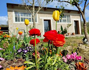 Verblijf 09116304 - Vakantiewoning Campanië / Napels - Vakantiehuis in caiazzo