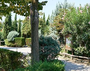 Verken de rustgevende natuur bij Campingchalet Toscane in Viareggio, Itali, omgeven door groene tuinen en schilderachtige paden.