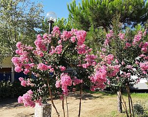 Verblijf 0950544 - Stacaravan Toscane / Elba - Campingchalet Toscane | Bij zee | Viareggio 