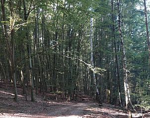 Verblijf 095109438 - Appartement Hessen - Ober-Waroldern