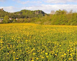 Verblijf 095109971 - Vakantiewoning Eifel / Moezel / Hunsrück - Eifelpark 10