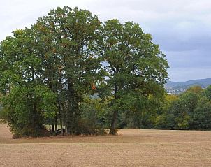Verblijf 095109979 - Vakantiewoning Eifel / Moezel / Hunsrück - Eifelpark 9