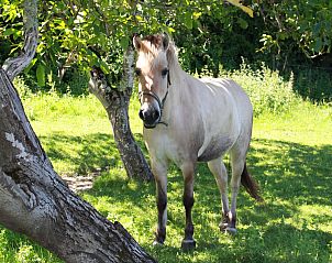 Verblijf 095115461 - Vakantiewoning Aquitaine - Le Pigeonnier