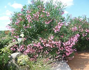 Verblijf 095115461 - Vakantiewoning Aquitaine - Le Pigeonnier