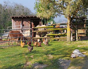 Verblijf 095115461 - Vakantiewoning Aquitaine - Le Pigeonnier