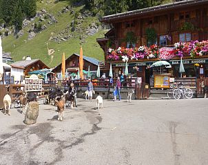 Guest house 095116533 - Chalet Rhone-Alphes - Chalet Montjoie