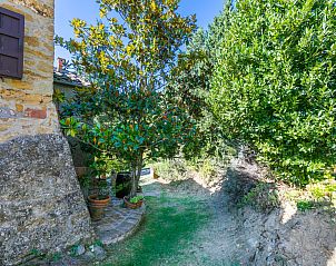 Guest house 09512547 - Apartment Tuscany / Elba - Appartement Nido
