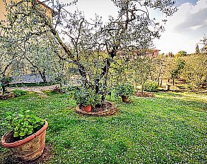 Guest house 09512907 - Apartment Tuscany / Elba - Appartement Matteuzzi