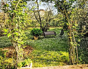 Guest house 09512907 - Apartment Tuscany / Elba - Appartement Matteuzzi