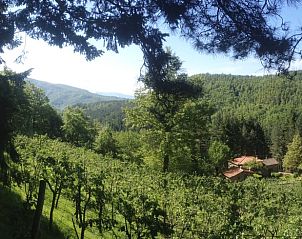 Verblijf 095132802 - Vakantiewoning Toscane / Elba - Vakantiehuisje in Camaldoli - Parco Nazionale delle Foreste