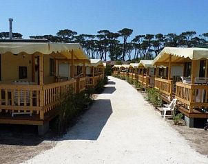 Ontdek de natuurlijke schoonheid rondom Stacaravan - Mobilehome aan Zee in Viareggio, Toscane, met een uitnodigend terras.