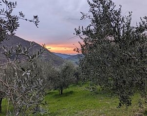 Olijfbomen en een adembenemende zonsondergang bij Vakantiehuisje in Londa, Toscane. Ideale plek voor natuurliefhebbers.