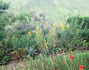 Verblijf 09523306 - Vakantiewoning Toscane / Elba - Vakantiehuisje in Londa