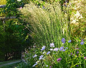 Verblijf 09534709 - Vakantiewoning Toscane / Elba - Huisje in Santa Fiora