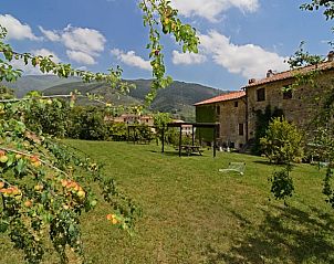 Guest house 09546002 - Holiday property Tuscany / Elba - Vakantiehuisje in Calci