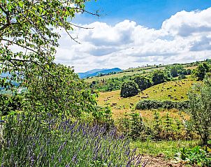 Guest house 09551215 - Apartment Tuscany / Elba - Appartement Quadrifoglio