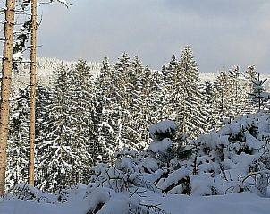 Verblijf 0956102 - Vakantiewoning Ardennen (Luxemburg) - Vakantiewoning te Marcouray 6p