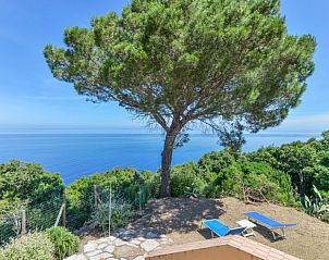 Guest house 09575601 • Holiday property Tuscany / Elba • Vakantiehuis L'Aietta di Maciarello 
