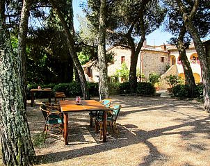 Guest house 0959647 - Apartment Tuscany / Elba - Appartement Cellole - Cellole 1 (CTC150)