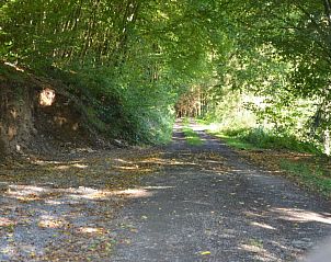 Unterkunft 096385 - Chalet Luxemburg - Bois du Ry