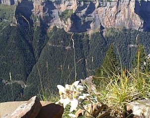 Guest house 10114204 - Apartment Aragom / Navarra / La Rioja - Edelweiss Hotel