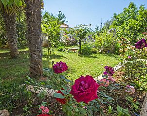 Guest house 10116806 - Apartment Istria - Appartement Danica