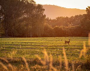 Unterkunft 10119210 - Appartement Istrien - Appartement Aurora
