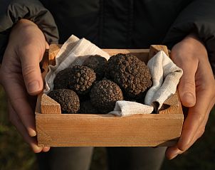 Unterkunft 10119210 - Appartement Istrien - Appartement Aurora