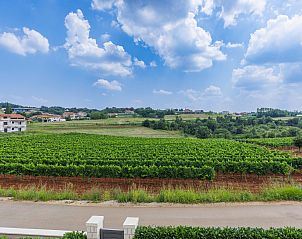 Unterkunft 1018805 - Ferienhaus Istrien - Vakantiehuis Alena