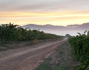 Guest house 10227201 - Holiday property West-Kaap - Under Oaks Guest House