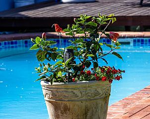 Verblijf 1026407 - Vakantiewoning Oost-Kaap - Sheilan House