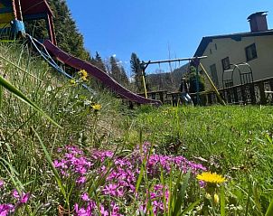 Guest house 10311506 - Holiday property Steiermark - Alpenpension Gasthof